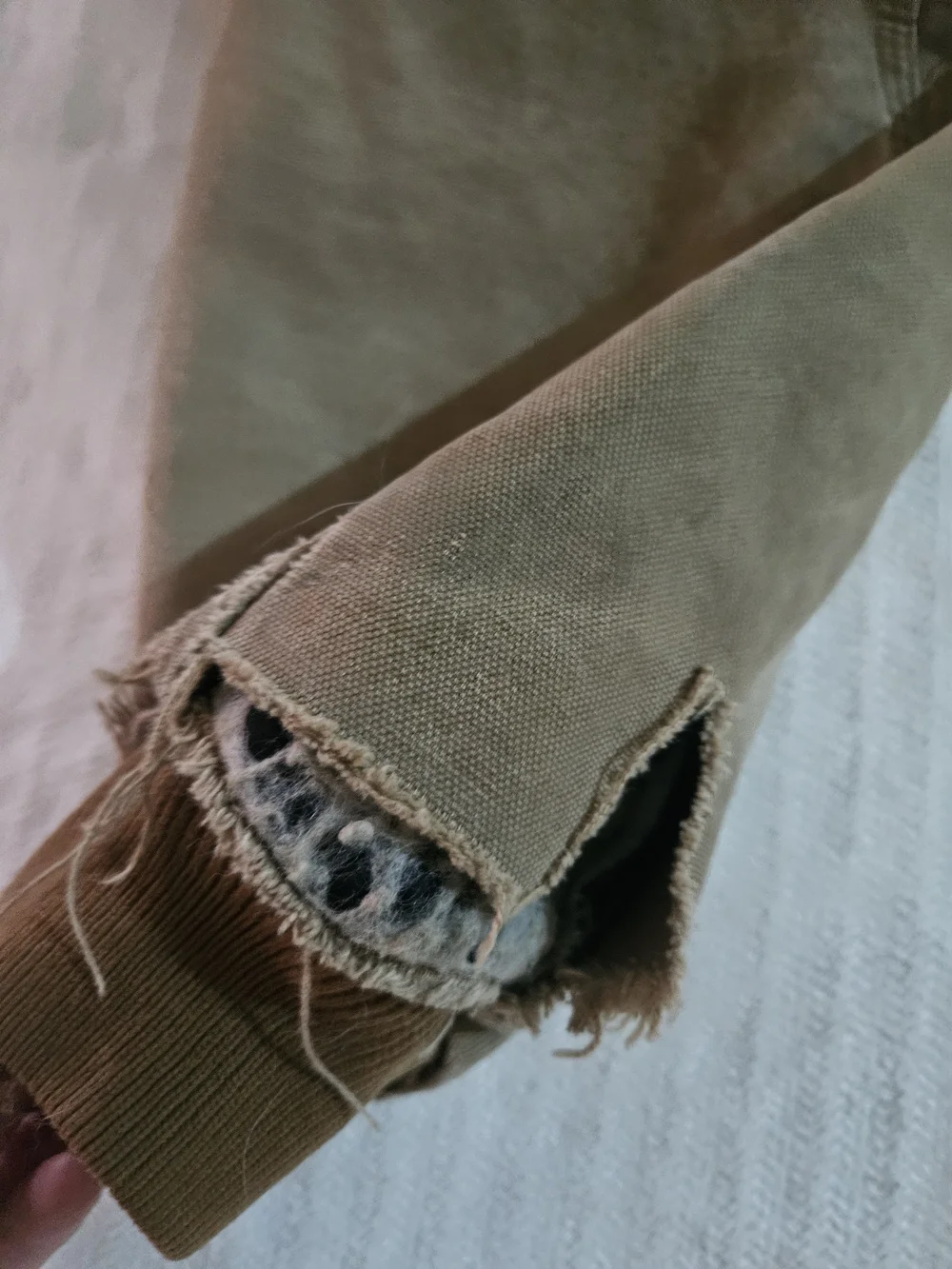Carhartt durable hooded